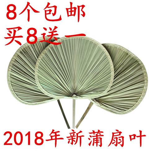 烧烤济公扇纳凉棕叶大蒲扇蒲草老式扇芭蕉扇舞蹈绘画扇老人扇子扇