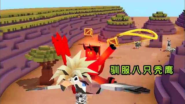 疯狂动物园:秃鹰有九只,只有八只秃鹰可驯服获得