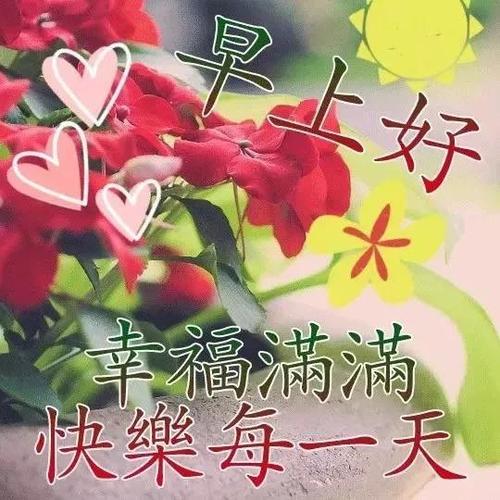 早上好!开心快乐,幸福健康每一天!