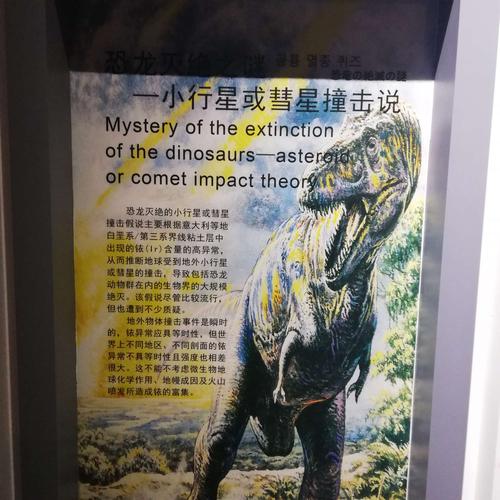 南阳游学第二天(中国西峡恐龙馆,张衡博物馆)