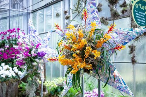 武汉植物园2021热带兰花展时间