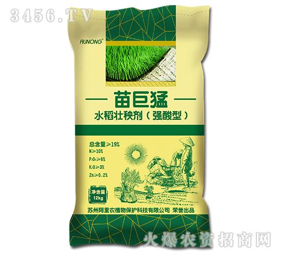 水稻壮秧剂(强酸型)-苗巨猛-阿里农