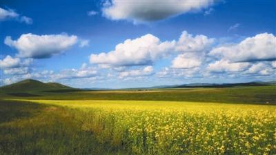 额仑草原的秋,惊艳了一季_新浪内蒙古_新浪网