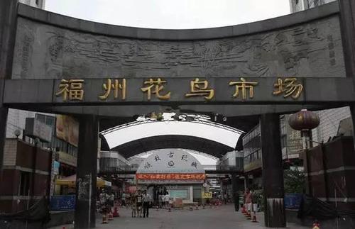收集齐这些各地文玩市场不容易呀,快看看有你的家