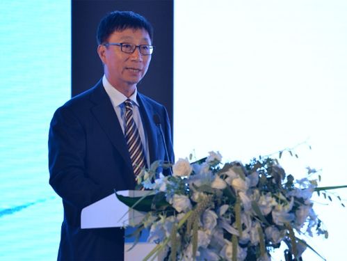 华泰保险董事长兼ceo王梓木