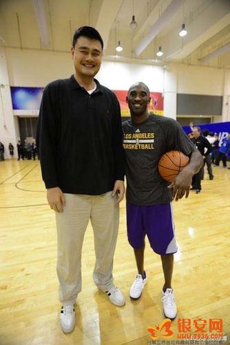 科比站在姚明面前只到姚明肩膀处