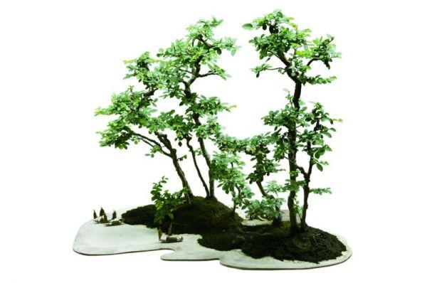 苏派盆景