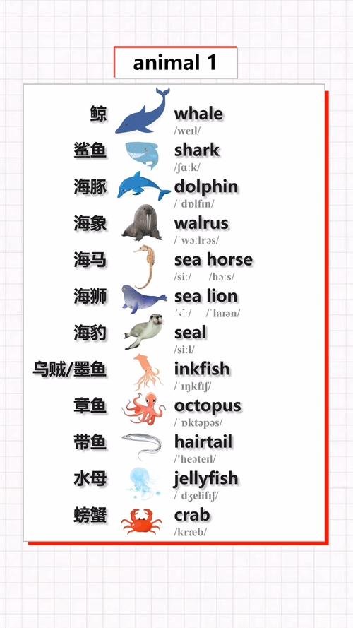 海洋动物英文_英语单词_知识_校园教育