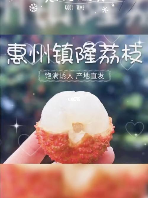 镇隆荔枝_荔枝_销售镇隆荔枝自由行热门攻略_销售_镇隆荔枝_美食_美食