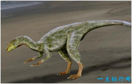 世界上最小的恐龙,体长不到四十厘米