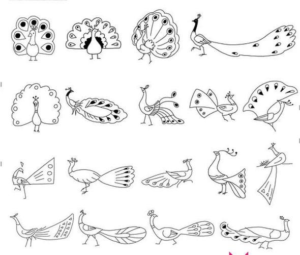 孔雀简笔画大全,动物简笔画