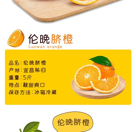 【助力湖北】秭归伦晚脐橙5斤装 新鲜水果酸甜可口标准果甜橙