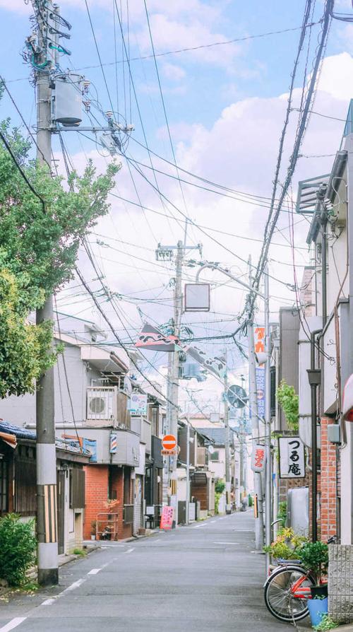 有没有很盐系的壁纸?