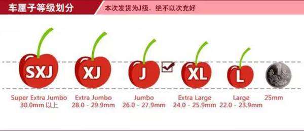 车厘子等级车厘子等级示意图