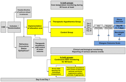 eeg electroencephalogram