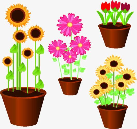 卡通,花朵,向日葵,花朵png,花盆
