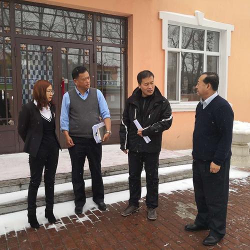 松北区人民政府 松北动态 区领导孙钊同志到乐业镇督导推进大棚房整治