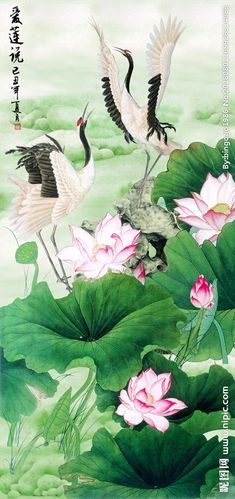 荷花 莲叶与仙鹤图片