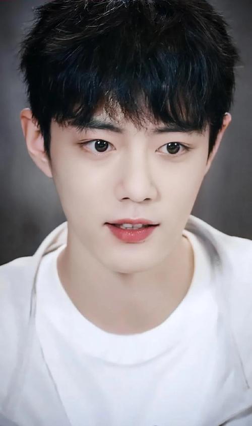 肖战大波美图来袭