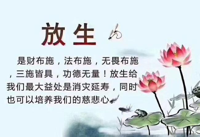 放生 是财布施,法布施,无畏布施,三施皆具,功德无量