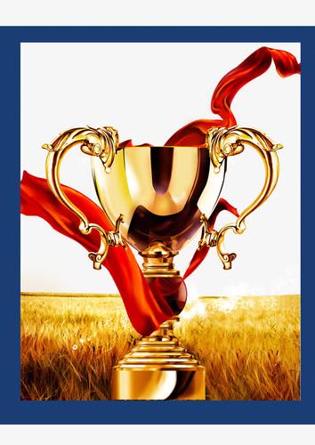 关键词 : 荣誉表彰,骄傲,奖励,金色