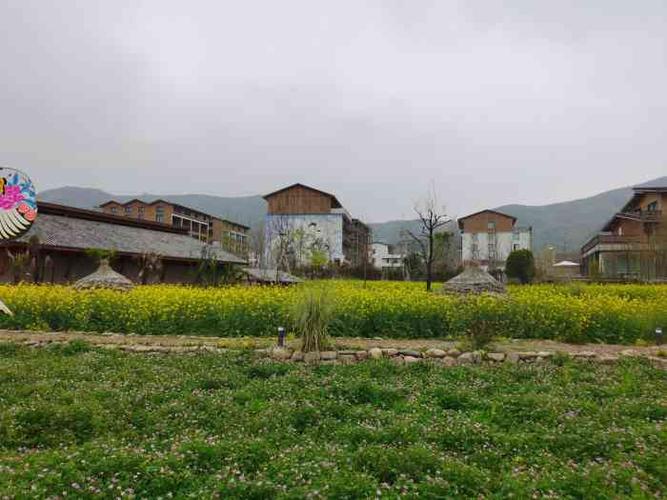 铁定溜溜-"在大荆下山头村里,新建的景点,园区都是滑.
