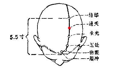在头部,当前发际正中直上4寸,旁开1.5寸.