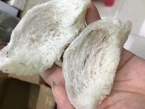 燕窝,滋补圣品 燕窝主要产地东起菲律宾西至缅甸沿海附近荒岛的山洞里