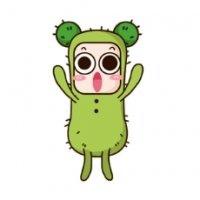 微信头像仙人掌【点击鼠标右键下载】