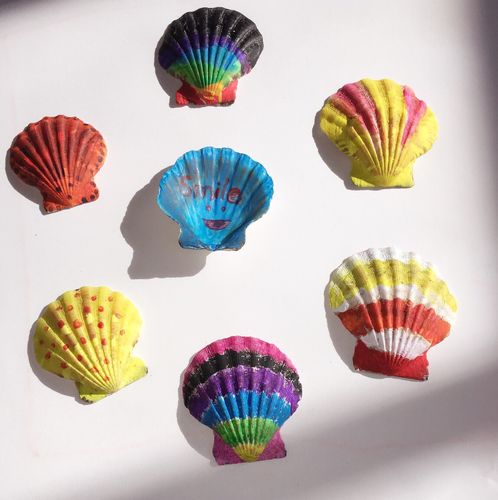 这个不能叫画,因为贝壳上很不好画.但是随便涂涂颜色就很好看.