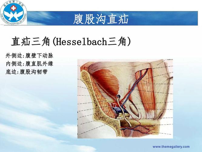 疝的超声诊断