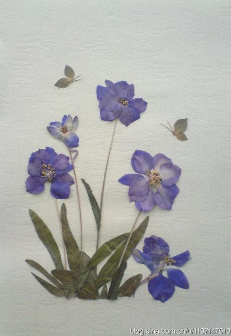 [转载]押花作品--精致的小花们