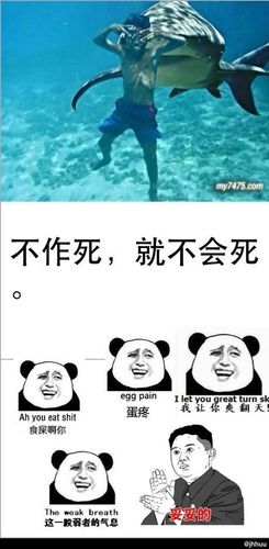 不作死,就不会死.