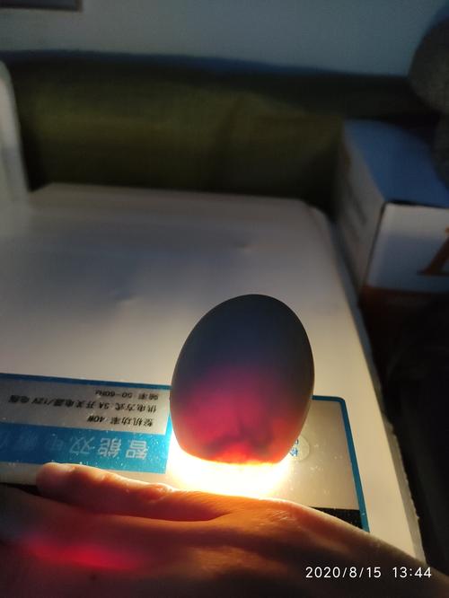 15             今天是第十六天了,我照了照蛋,发现有一大片是黑黑的