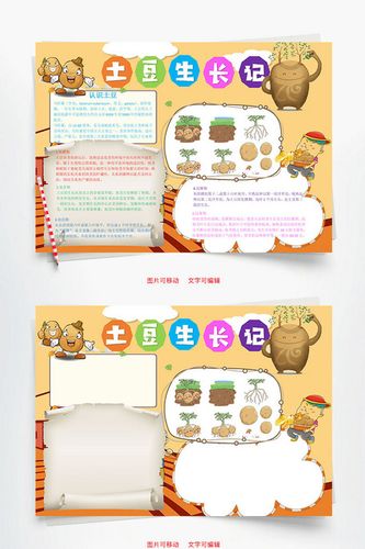 卡通土豆生长记word手抄报