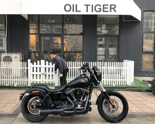 oiltiger大贸15年哈雷戴娜街霸
