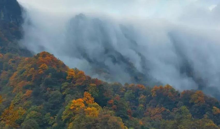 这个地方美炸了,四川南江光雾山,风景美如画,金秋时节