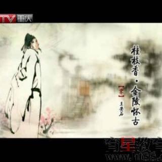 桂枝香.金陵怀古