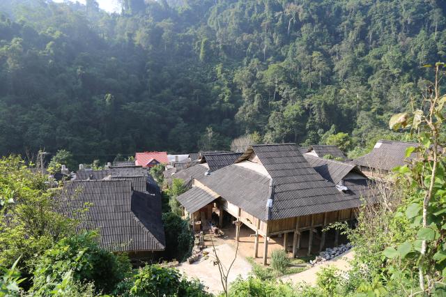 探访西双版纳傣族村寨,在热带雨林和傣家妹子学做竹筒饭