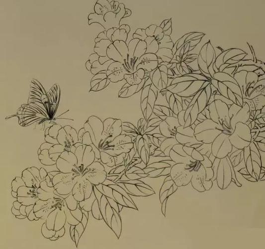 国画教程工笔杜鹃花设色步骤解析说明