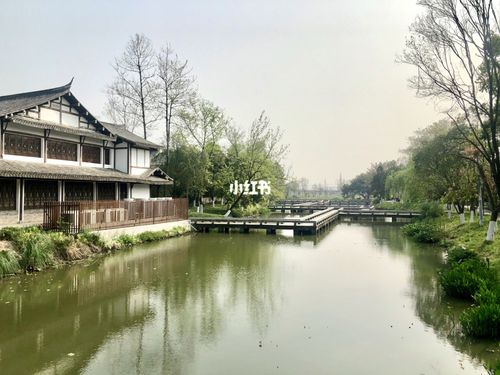 温州三垟湿地公园_出行_人文风光展示