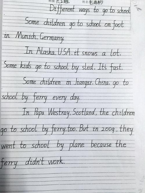 书写格式正确,书写工整;句子大小写和标点符号使用正确,间距合理;文章