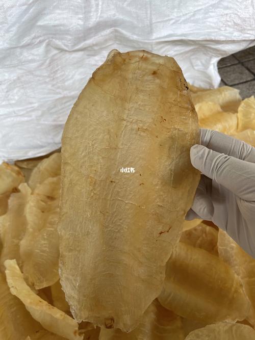 鳘鱼胶_鱼胶_胶原蛋白_医疗健康_养生食疗