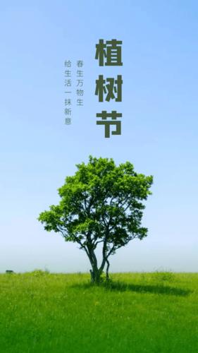 祝植树节快乐!早上好,早安问候