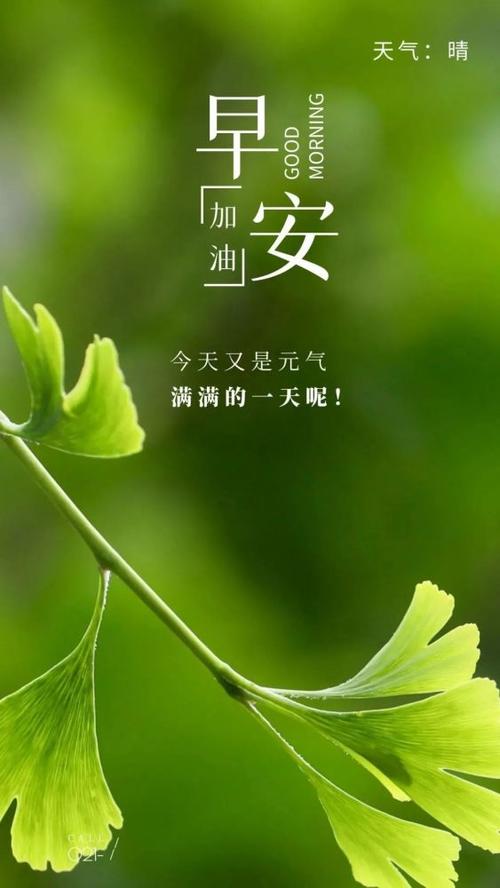 早上好发朋友圈的正能量图片语录,奋斗不止,百炼成钢