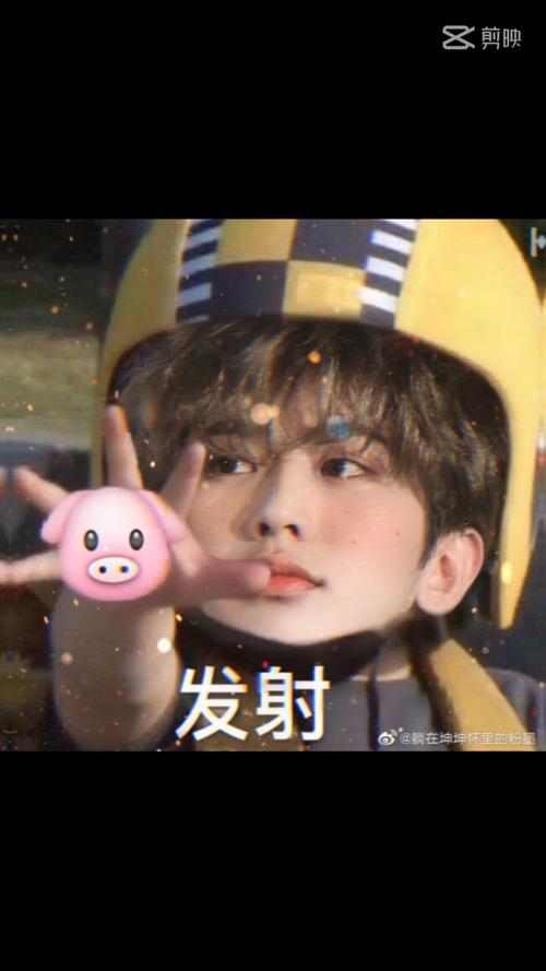 第二集 · 猪咪小葵(可爱)蔡徐坤 第二集 · 猪咪小葵(可爱)蔡徐坤