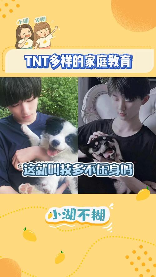 宋鼠标 :从小学习各项技能!努力撑起这个家!