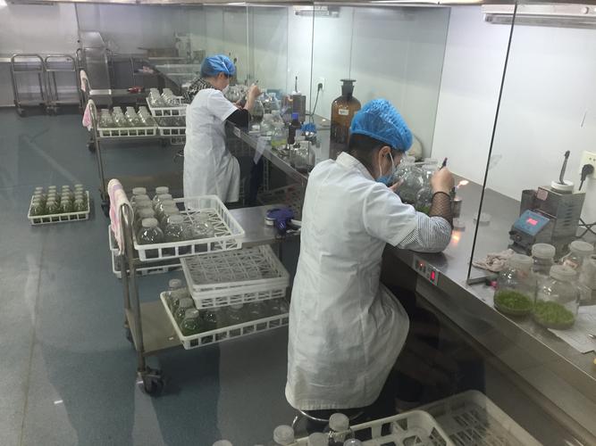 药学系2016级药品质量与安全与药品生产技术专业企业见习