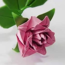 便签纸折花的教程 迷你玫瑰花手工折纸图解