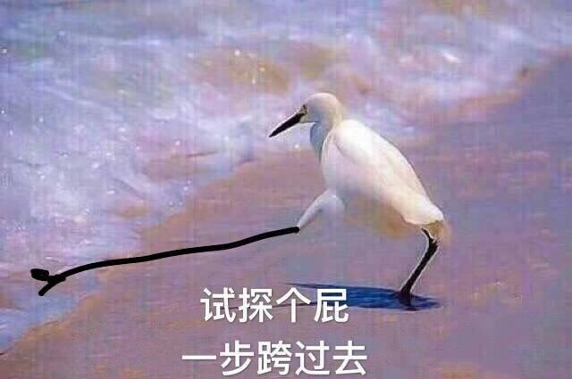 试探表情包